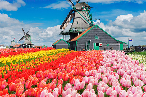 /material-alias/首頁/荷比盧/Keukenhof 600x400.jpg